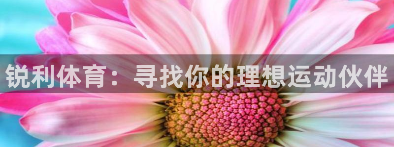 星速体育最新版本：锐利体育：寻找你的理想运动伙伴