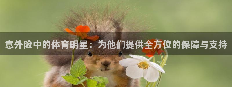 星速体育官网：意外险中的体育明星：为他们提供全方位的保障与支持