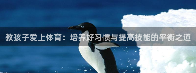 星速体育文化发展有限公司：教孩子爱上体育：培养好习惯与提高技能的平衡之道