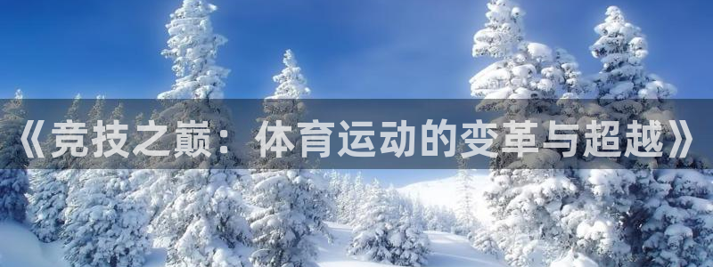 星速体育文化发展有限公司：《竞技之巅：体育运动的变革与超越》