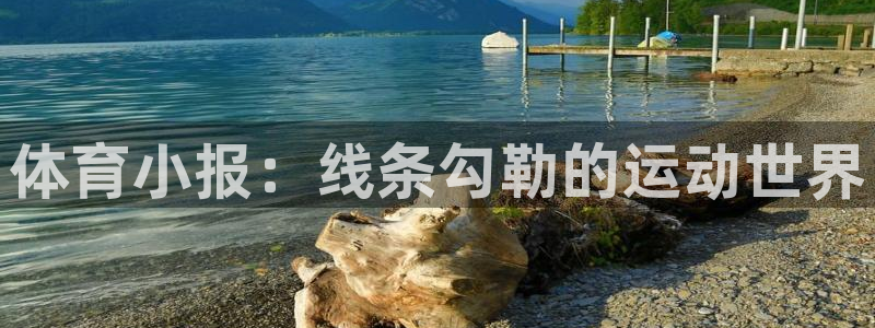 星速体育官网：体育小报：线条勾勒的运动世界