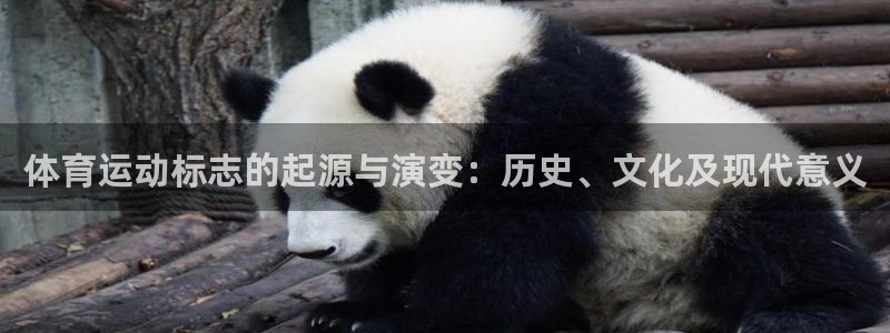 星速体育app官网下载：体育运动标志的起源与演变：历史、文化及现代意义
