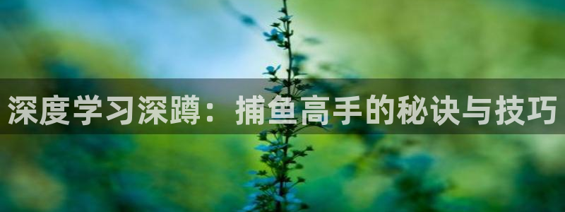 星速体育安卓版下载：深度学习深蹲：捕鱼高手的秘诀与技巧