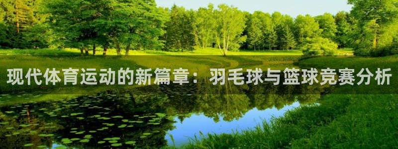 星速体育改名了吗：现代体育运动的新篇章：羽毛球与篮球竞赛分析