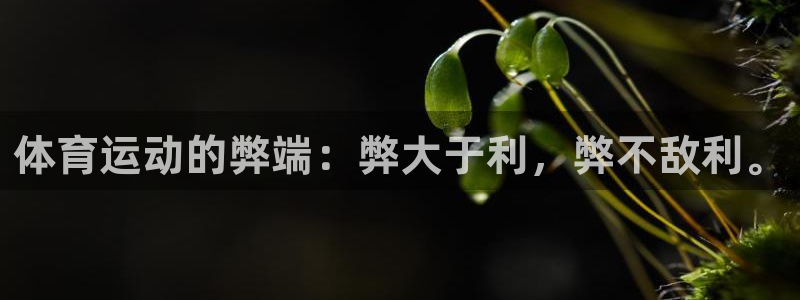 星速体育app下载官网：体育运动的弊端：弊大于利，弊不敌利。