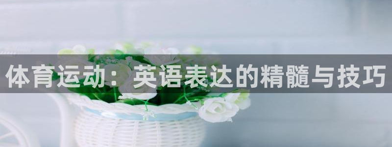 星速体育车队：体育运动：英语表达的精髓与技巧